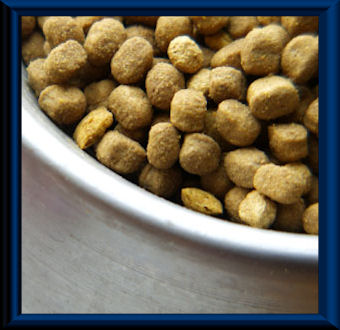 Pet Food